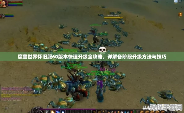 魔兽世界国服快速升级攻略，解锁高效升级之路