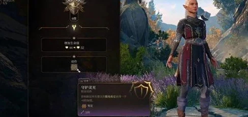 博德之门3圣武士玩法深度攻略