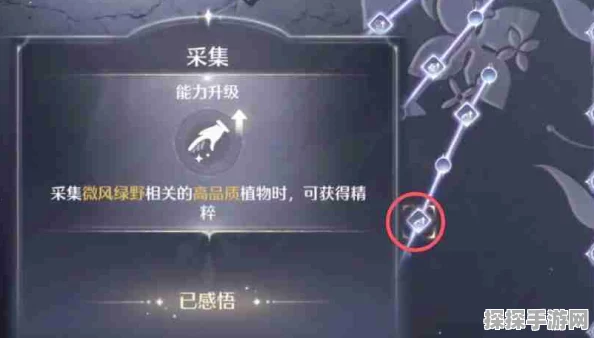 无限暖暖满满果精粹获取全攻略，解锁珍稀资源的秘密途径