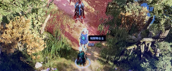 博德之门3找到丢失的货物任务全攻略