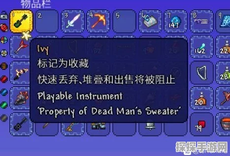 泰拉瑞亚雨之歌，独特乐器小玩具全解析