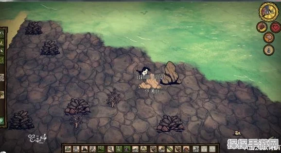 饥荒海难DLC，贝壳获取与用途全解析