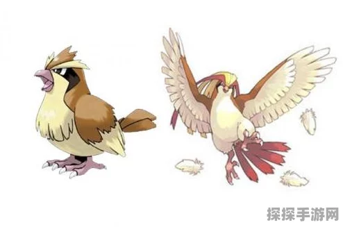 宝可梦大探险，杰尼龟技能搭配及强度深度分析
