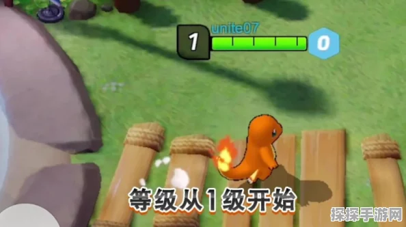 宝可梦大集结，性别更换功能详解及最新游戏动态