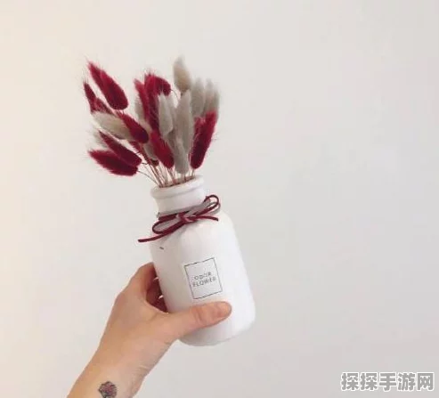 手游资讯，揭秘无限暖暖内测资格申请攻略，率先启程温暖世界的奇妙之旅