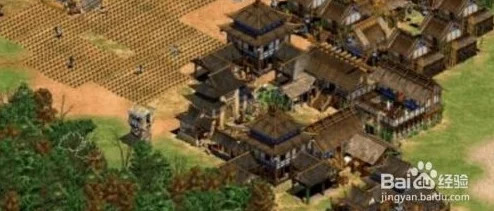 帝国时代2手游，人口无限新玩法揭秘与版本更新速递