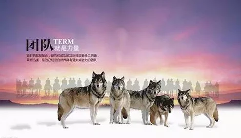 重返未来1999，深度解析狼群技能强度及其对资源管理策略的关键影响