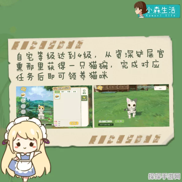 小森生活手游，猫薄荷获取全攻略，解锁喂养秘籍不再是梦