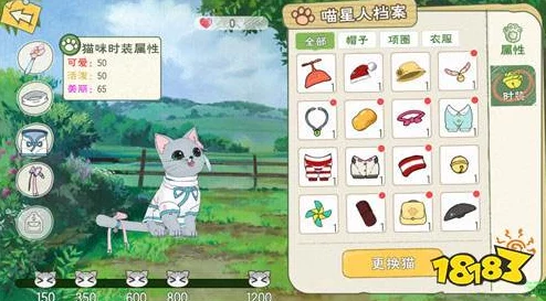 小森生活手游，猫薄荷获取全攻略，解锁喂养秘籍不再是梦
