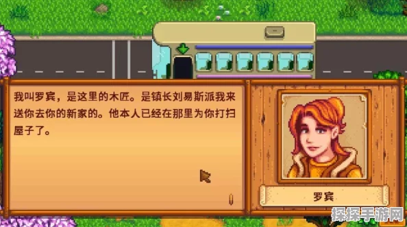 星露谷物语手游资讯，探索同性婚姻新可能