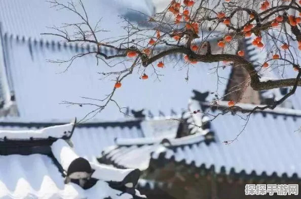 手游资讯，洛克王国冬至数九活动全攻略