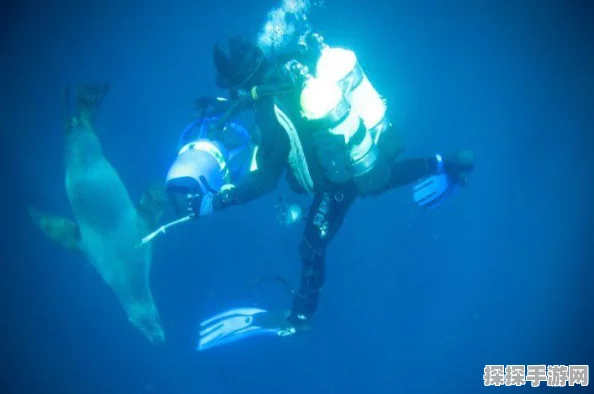 保卫萝卜深海12关最佳阵容攻略全解析