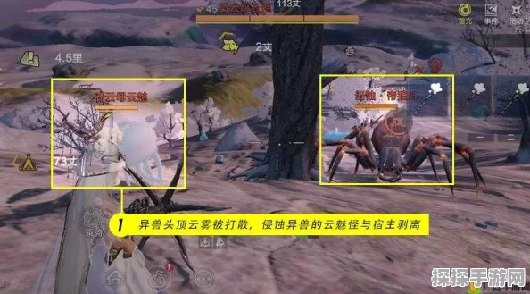 妄想山海手游资讯，揭秘云魅怪的出没之地与战斗攻略