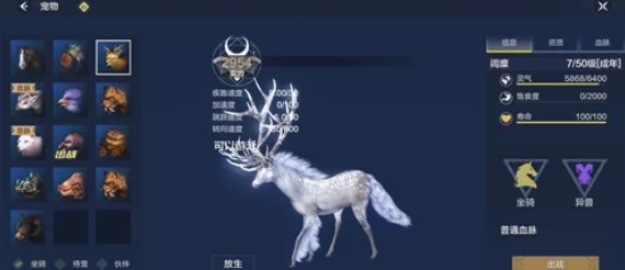 妄想山海手游资讯，翠鹞羽毛获取攻略详解