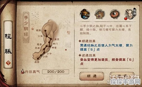 手游资讯，烟雨江湖五禽戏获得流程全解析
