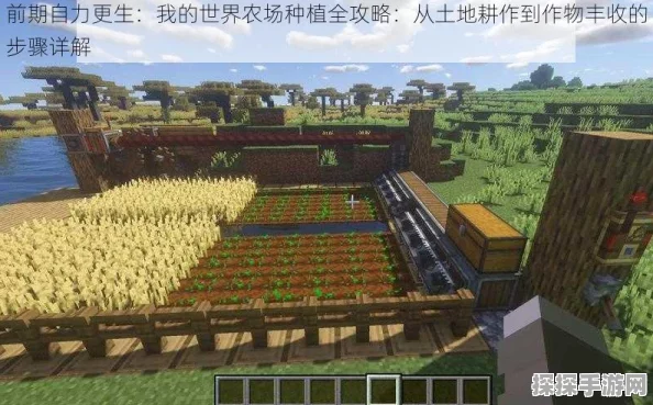 我的世界农业发展攻略，五大实用技巧助你实现最大化耕作
