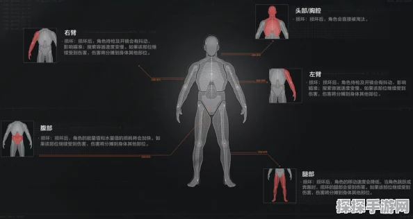 暗区突围，无限装备与物资获取全攻略