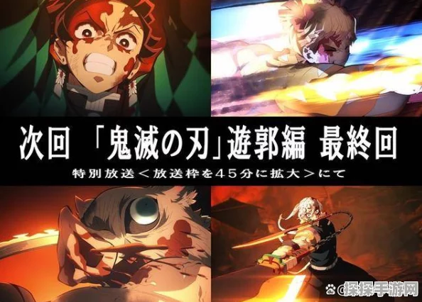 鬼灭之刃游郭篇手游暂停更新深度解析，玩家期待与官方回应