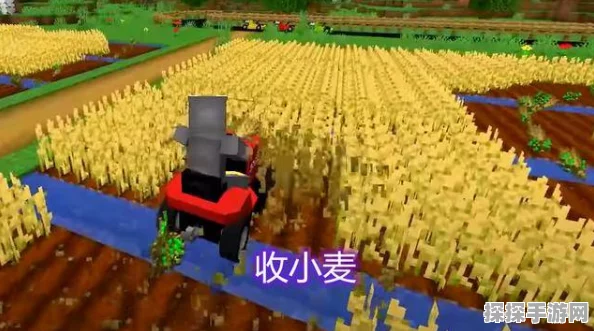 我的世界土地种植技巧深度解析，打造繁茂的游戏农场