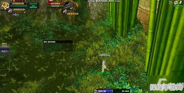 70级猎人单刷祖尔格拉布龙虎蛇攻略详解