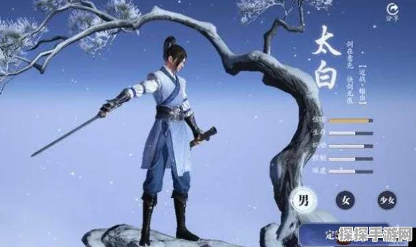 天涯明月刀手游职业强度解析，探寻各职业的独特魅力