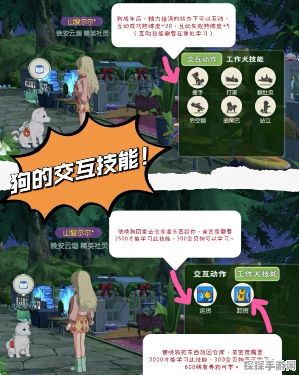 手游资讯，小森生活狗粮获取全攻略