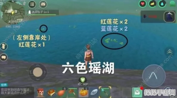 创造与魔法自动农耕模块全面解析，革新你的游戏农耕体验