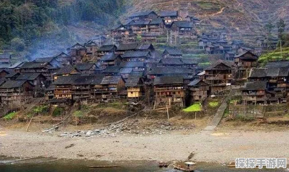 烟雨江湖手游资讯，全面解析木头获取方法与策略分享