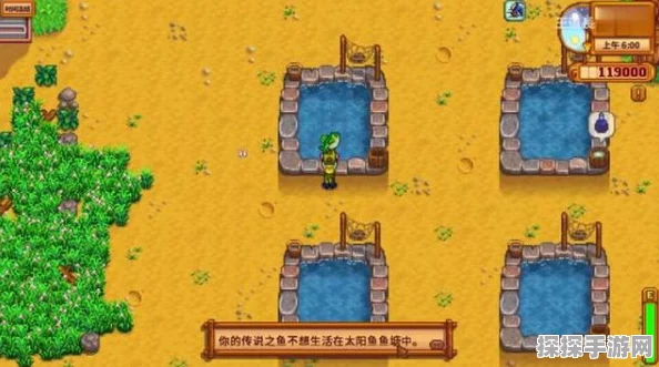 星露谷物语，沙漠矿洞探险攻略，一次性获取宝剑与铱矿道具