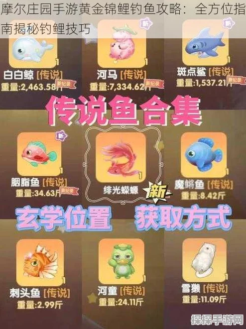 摩尔庄园手游黄金锦鲤获取攻略，珍稀鱼类等你捕捉