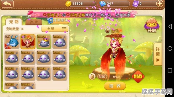 手游资讯，弹弹堂高效获取宠物经验副本全解析