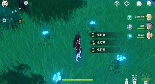 手游资讯，原神草神大招功能深度剖析，战力与辅助能力全面升级