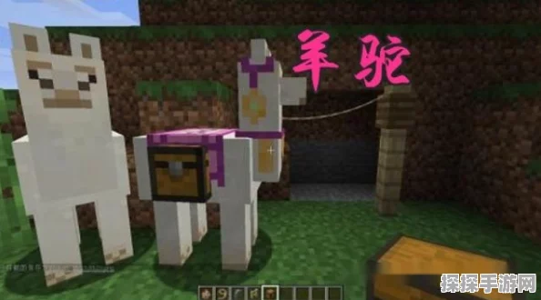我的世界手游新资讯，动物驯养指南——羊篇全面升级