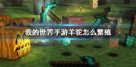 我的世界手游新资讯，动物驯养指南——羊篇全面升级
