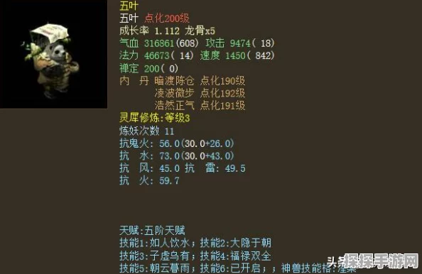 手游资讯，大话西游2范式之魂最优培养策略深度解析