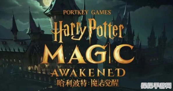 哈利波特，魔法觉醒手游资讯——猫头鹰领养全攻略