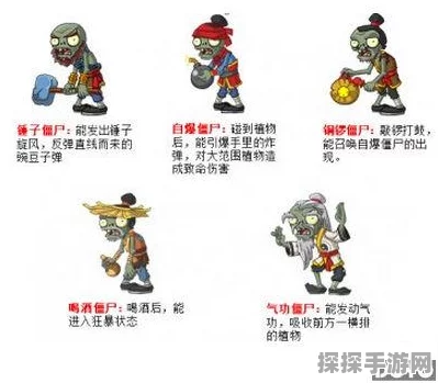 植物大战僵尸2大汉铜人僵尸现身功夫世界