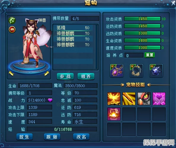 画江山手游深度解析，宠物装备对战斗力的惊人影响