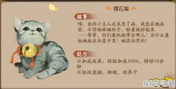 阴阳师小白猫获取攻略及养成指南，揭秘小白猫的独特魅力与获得途径全解析
