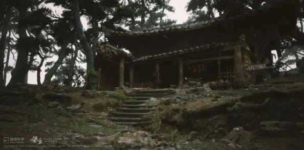 手游资讯，揭秘黑神话，悟空火爆全网背后的原因