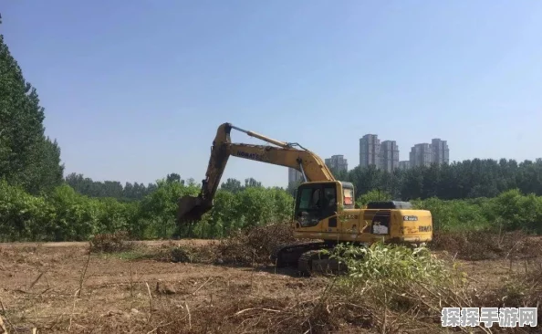 王者荣耀庄周，资源管理的核心价值与高效实战策略