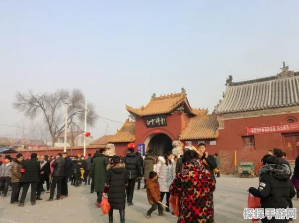 王者荣耀庄周，资源管理的核心价值与高效实战策略