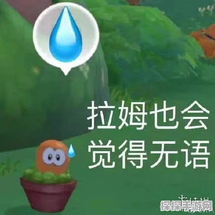 摩尔庄园手游家园禽舍修复全攻略，速建温馨家园新风貌