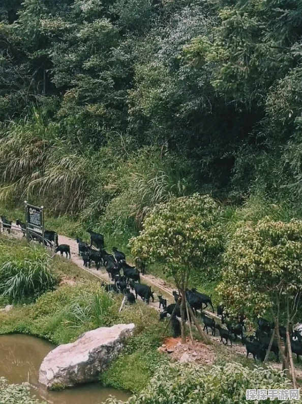 模拟山羊手游资讯，解锁欢呼羊全攻略