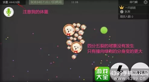 球球大作战高手技巧揭秘，16分身炸刺高效操作方法全解析