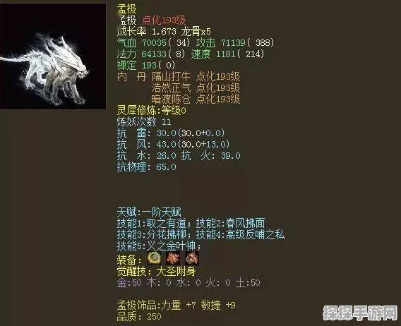 大话西游2神兽深度盘点，珍稀神兽大集结，共赴最强战力之旅