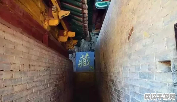 不朽之旅深度攻略，解锁技能流与孤儿流新玩法