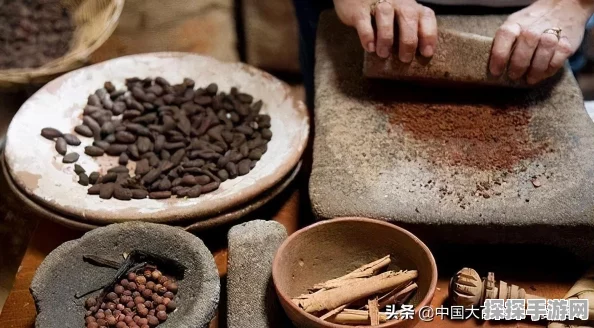 我的世界，全面解析可可豆种植过程与细节指导