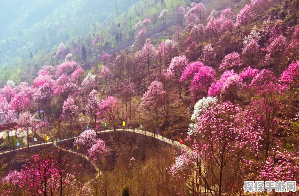 光遇霞谷赏花秘境全攻略，探寻绝美赏花地，开启浪漫旅程