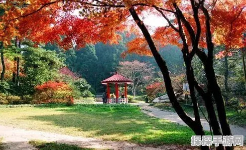光遇霞谷赏花秘境全攻略，探寻绝美赏花地，开启浪漫旅程